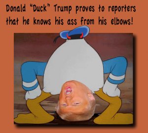 trump-donald-duck-3.jpg