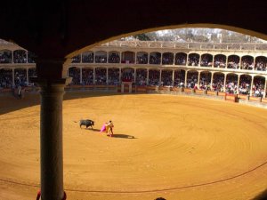 ronda-bullfight.jpg