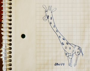 giraff.jpg