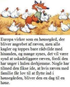 rev i hønsegård.jpg