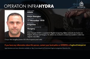 INFRA-HYDRA-Kolev_sqligallerysliderImage.jpg