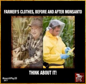 Monsanto.jpg