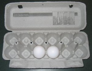 EggCarton.jpg