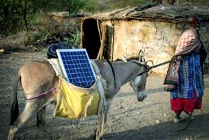 donkeywith-solarpanel.jpg