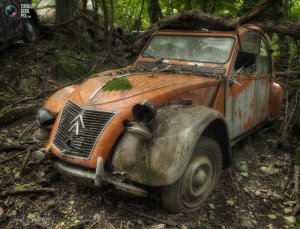 pic_abandoned_cars_005__tcp_gallery_image.jpg