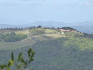 montalcino4.jpg