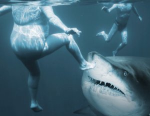 bigstock-Shark-attack-Life-insurance-c-67794685-810x626.jpg