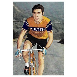 molteni-woll-radtrikot.jpg