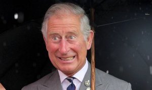 prince-charles-busiest-ro-451533.jpg