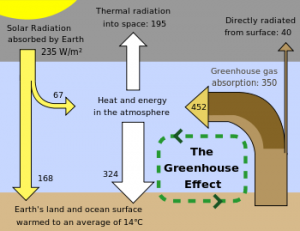 350px-Greenhouse_Effect.svg.png