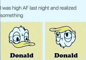 donald.png