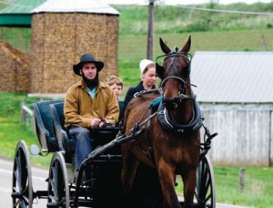 ohio-amish-stock-photo.jpg