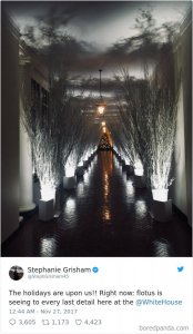 melania-trump-white-house-christmas-decorations-reactions-1.jpg