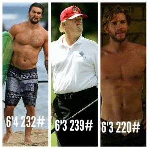 Trump the Hunk.jpg