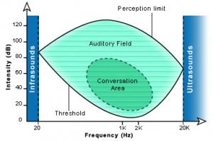 e_audiogra.jpg