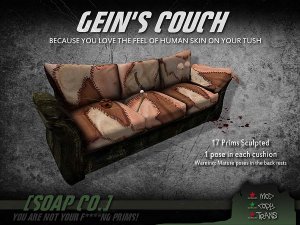 geincouchpic.jpg