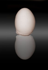 colombi egg.jpg