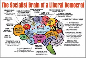 libtard_social_justice_warrior_brain_diagram.jpg