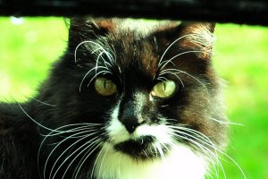 DSC_0082.JPG