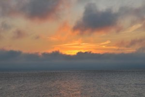 DSC_0330.jpg