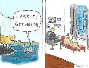 lassie.jpg