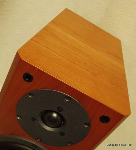 Dynaudio_focus110_2.JPG