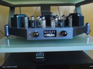 Manley Stingray [800x600].jpg