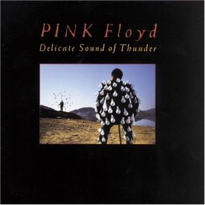 album-delicate-sound-of-thunder.jpg