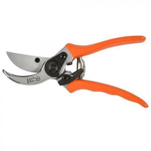 secateurs-500x500.jpg