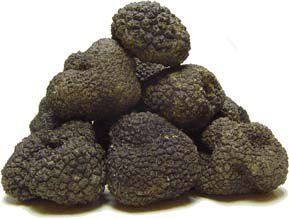 Truffle-706360.jpg