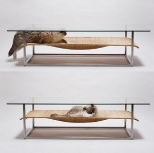 cat-table-1.jpg