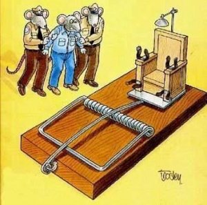 mouse-trap-execution-funny-cartoon-.jpg