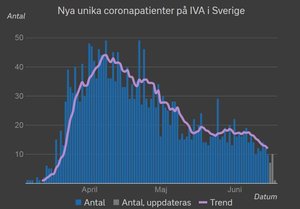 iva.JPG