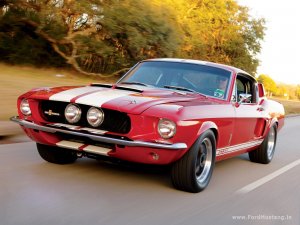 shelby-mustang-gt500-1967.jpg