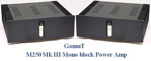GamuT M250 Mk III Mono block Power Amp.JPG