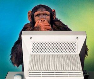 Monkey-Computer.jpg