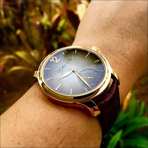 Moser Endeavor Small Seconds - a dash of gold, brown and green.jpg