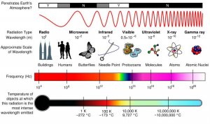 Electromagneticnonoffensive.JPG