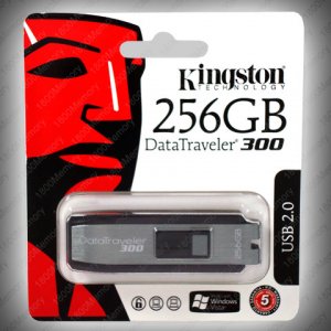 Kingston-New-Datatraveler-300-256GB-USB-Flash-Drive.jpg