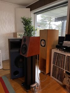 IMG_9252.jpeg