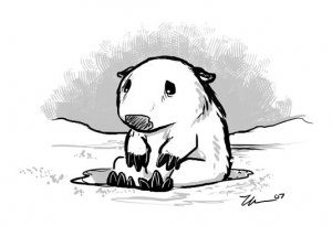 Sad_Wombat_In_Snow_by_ursulav.jpg