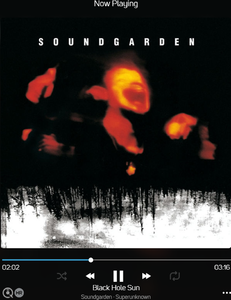 Soundgarden1.png