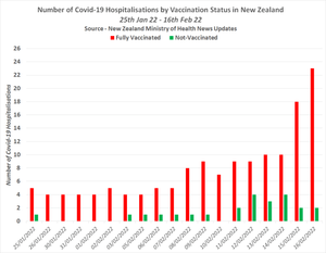 nz-image-352.png