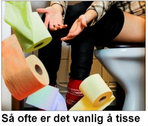 dagbladet igjen.jpg