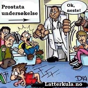 Prostata.jpg