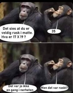 Rask I Matte.jpg