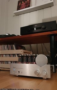 20230404_205638.jpg
