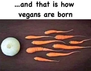 How Vegans Are Born.jpg