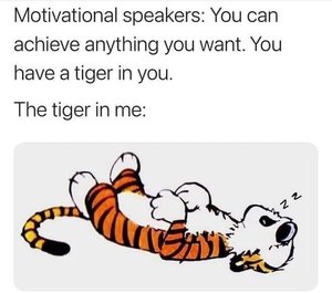 TheTiger.jpeg