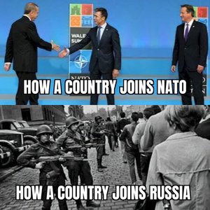 nato.jpeg